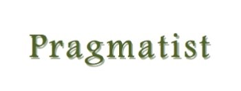 10_Pragmatist