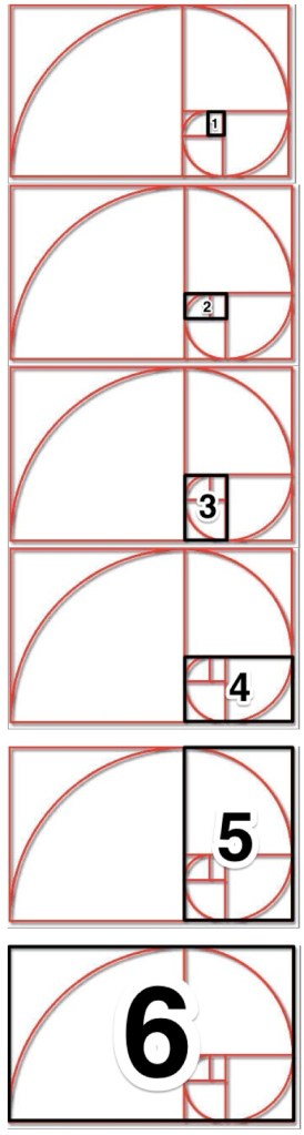 Nautilus-Sequence_Stages